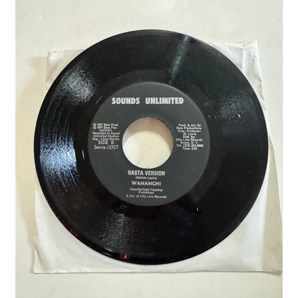 1977 Sounds Unlimited 45 RPM Melvin And Lloyd Rasta Deh Pon Top - Reggae Roots